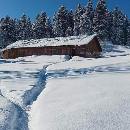 Roseland Cottage , Gulmarg Exterior photo